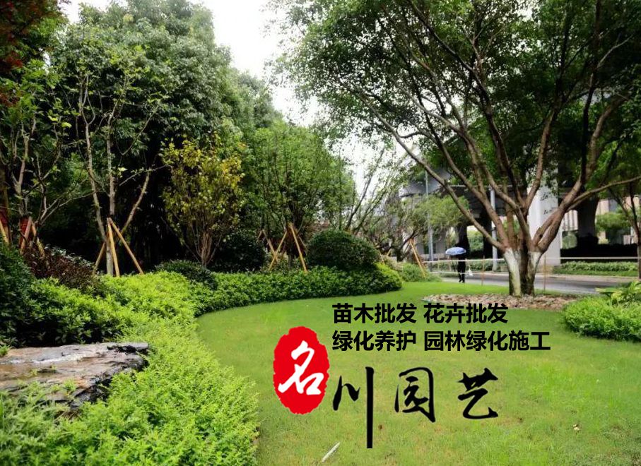 成都廠區(qū)綠化養(yǎng)護(hù)_工廠綠化