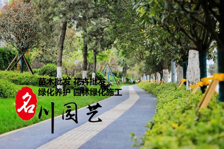 郫縣道路綠化_成都道路綠化公司